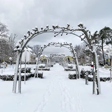 Hébergement de vacances Musica 244 - Strandpark Baabe