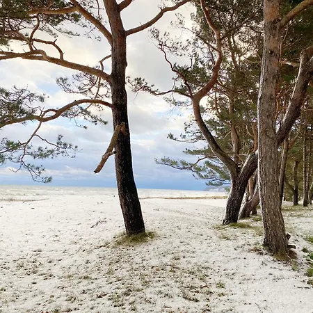 Musica 244 - Strandpark Baabe