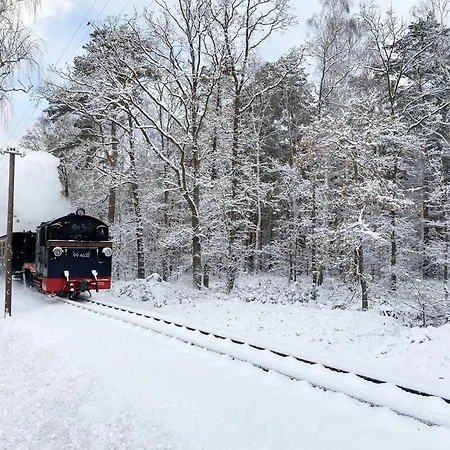 Musica 244 - Strandpark Baabe